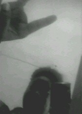 visitor