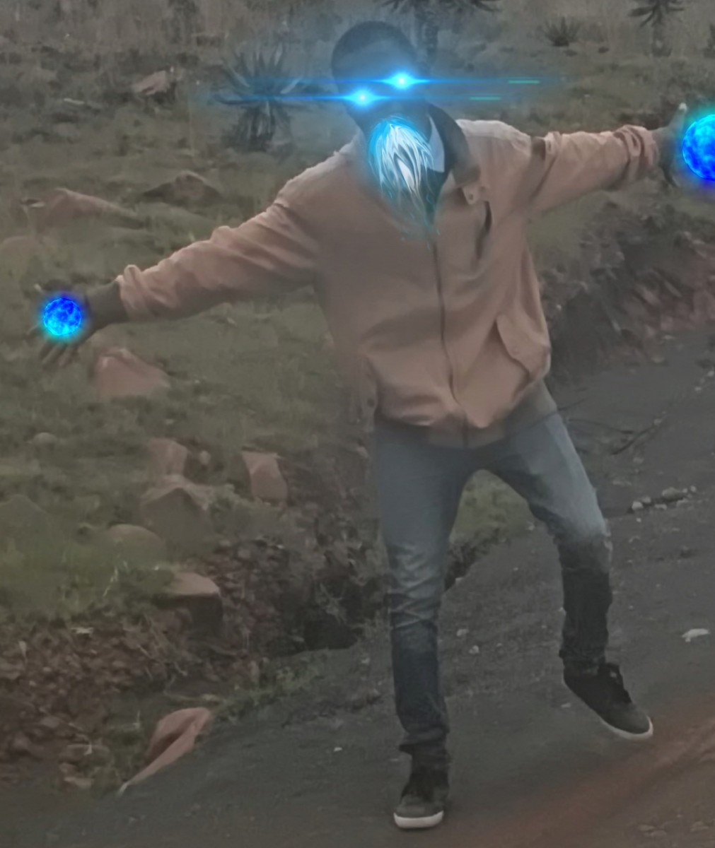 visitor