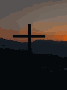 visitor