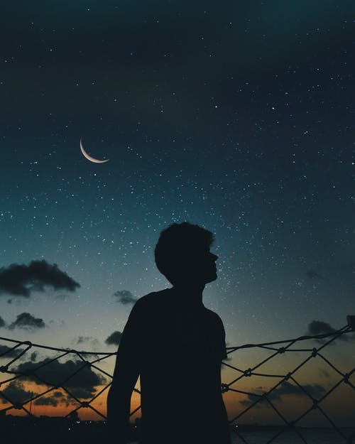 visitor
