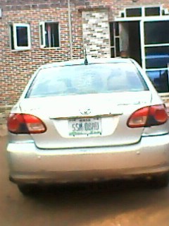 visitor
