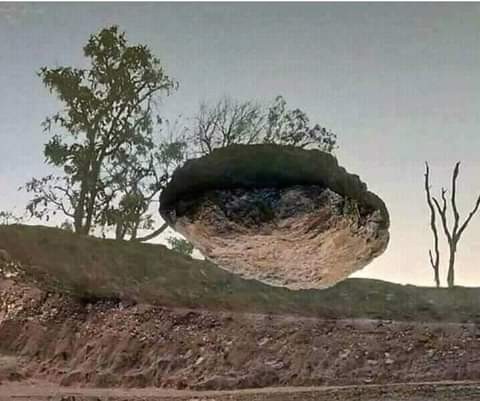 visitor