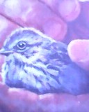 visitor