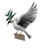 visitor