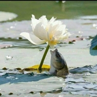 0