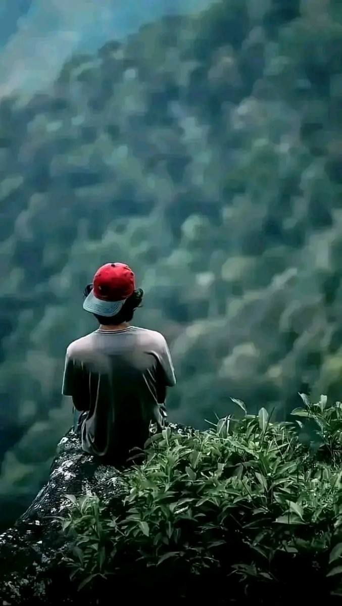 visitor