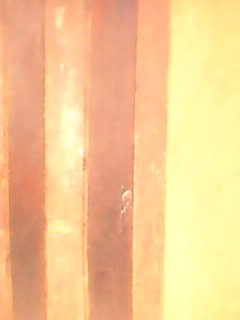 visitor