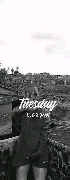 visitor