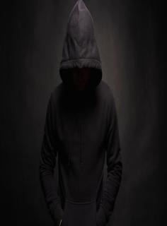 visitor