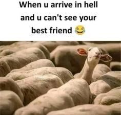 visitor