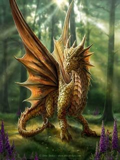 visitor