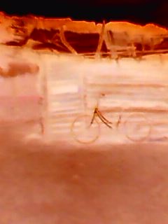 visitor