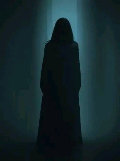 visitor