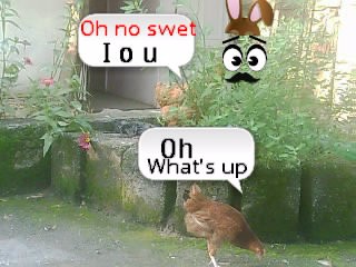 visitor