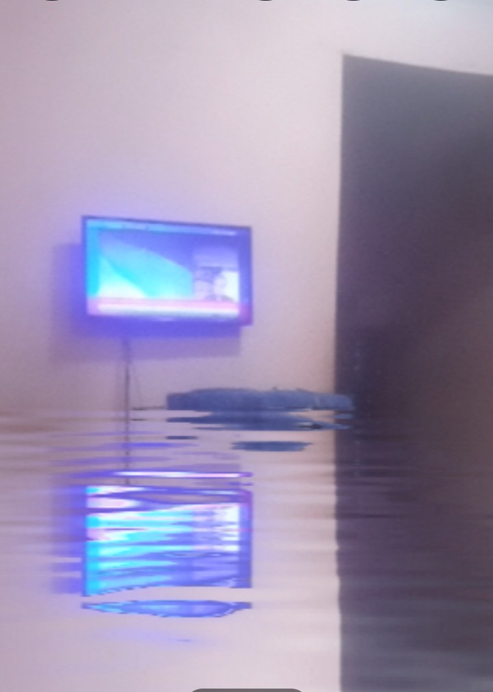 visitor