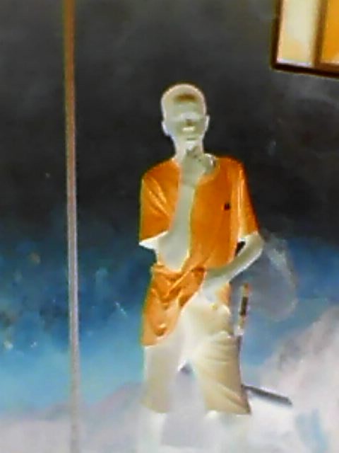 visitor