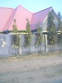 visitor