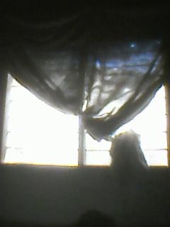 visitor