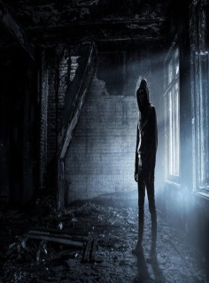 visitor