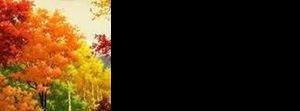3gpvideos