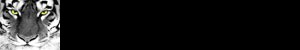 acn