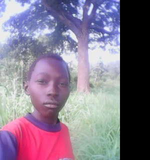 akotdimo