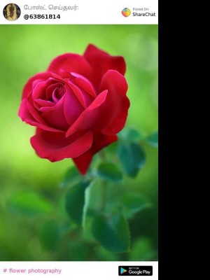 allwinraj58