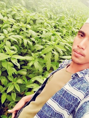 anamul80
