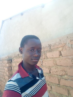 ashedy