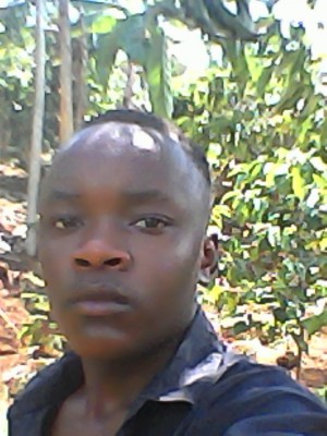 danower