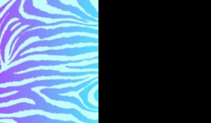 divicky001