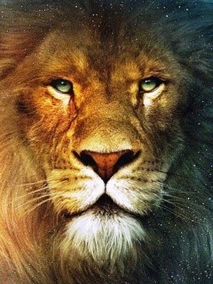 fury