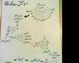 haseebahmad
