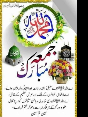 hassanraza