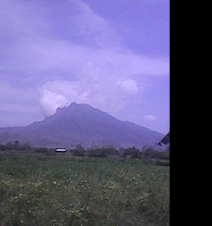 kurniawan