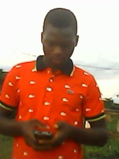 lamine