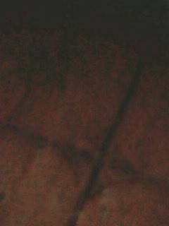 logky