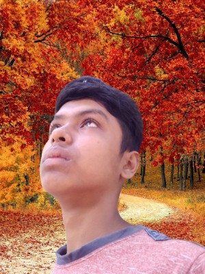 masum55