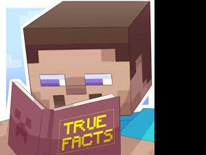 mohamedminecraftbz