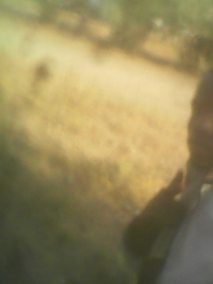 mubah