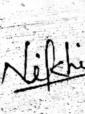 nikhil0901