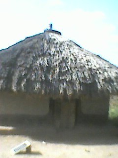 ocamjonathan