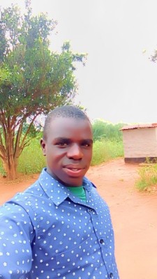 ogwalbrian