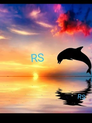 ravalsil