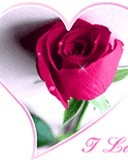 sammary