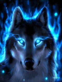 shadowfx236