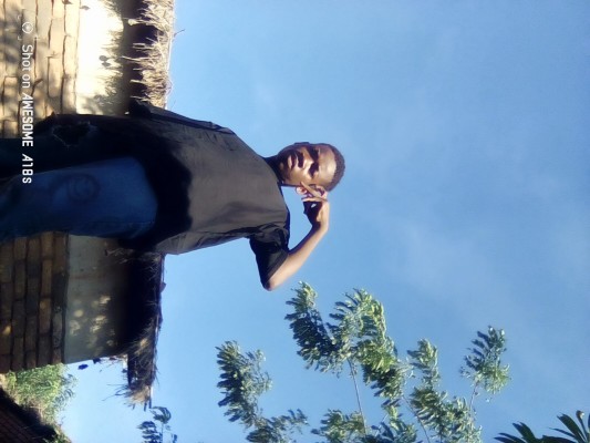 tardoo